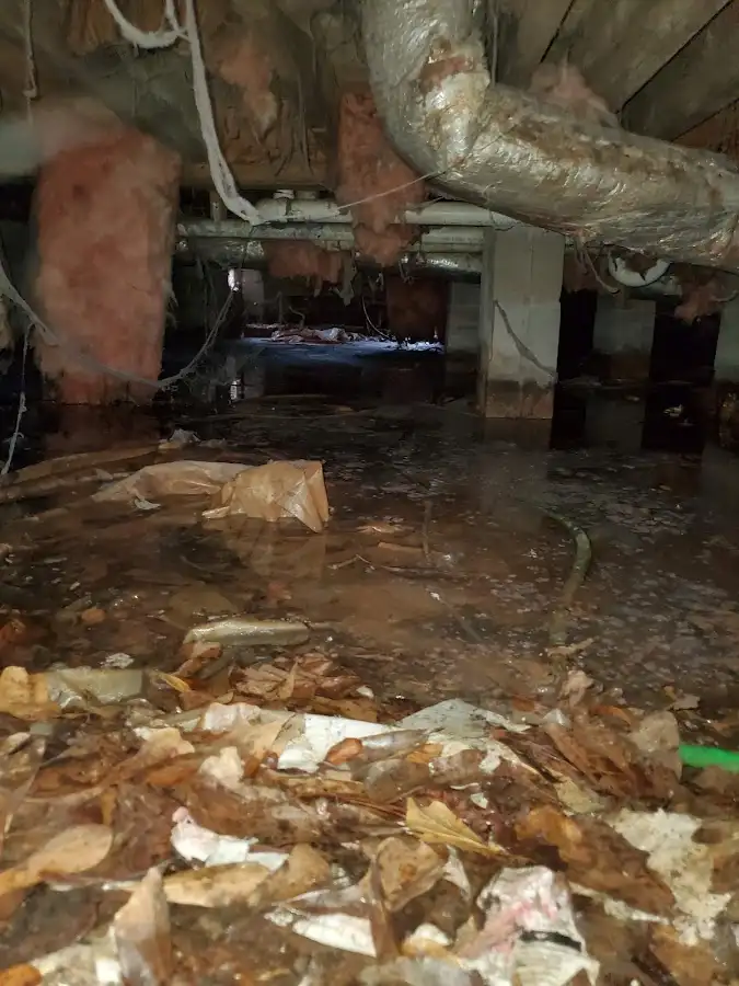 Crawl space flood assessment for Leak Detection & Repair in Talent