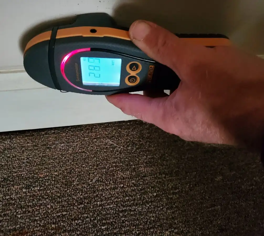 Moisture detection at baseboard during Sewage Cleanup & Sanitation in Talent